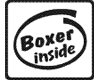 Boxer inside